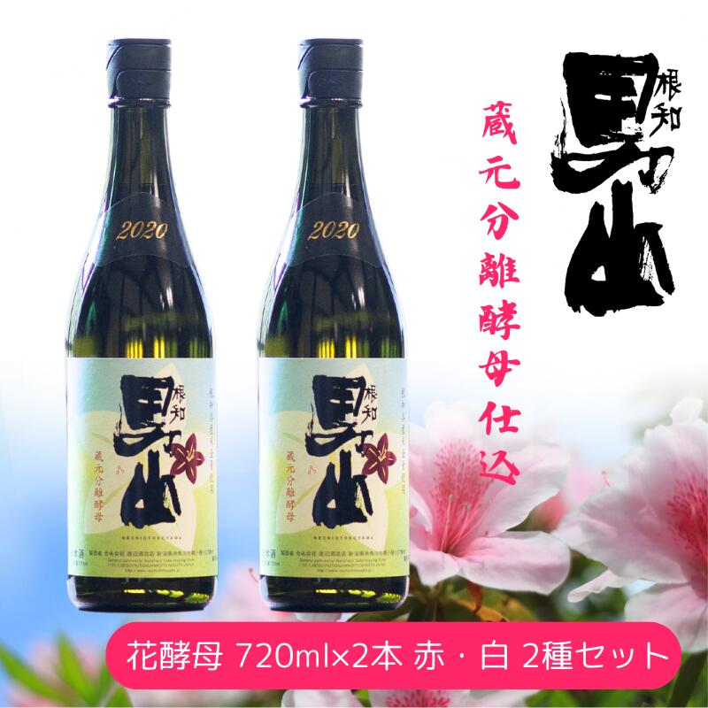 【ふるさと納税】【飲み比べ】根知男山蔵 元分離酵母仕込 720ml×2本 花酵母 720ml×2本 赤・白 2種セット 日本酒 自社栽培米使用 天然酵..