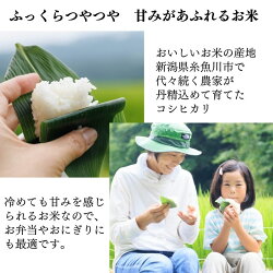 【ふるさと納税】【令和5年産新米】新潟県産 特別栽培米コシヒカリ【定期便】10kg(5kg2袋)×3回 計30kg ”nukumori” 甘みあふれるこしひかり 農家直送 令和5年産 プロが認めた美味しいお米･･･ 画像2