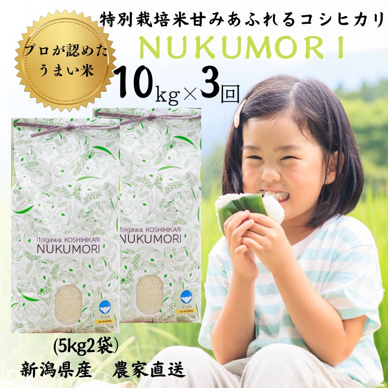 【ふるさと納税】【令和5年産新米】新潟県産 特別栽培米コシヒカリ【定期便】10kg(5kg2袋)×3回 計30kg ”nukumori” 甘みあふれるこしひかり 農家直送 令和5年産 プロが認めた美味しいお米･･･