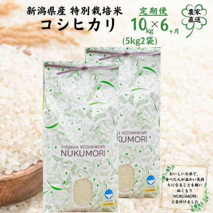 米【6ヶ月定期便】 コシヒカリ 10kg (5kg2袋)×6回 計60kg 令和5年産 新潟県産 特別栽培米 ”nukumori” 甘みあふれるこしひかり 農家直送 プロが認めた美味しいお米 百姓や伝六 美味しい 農家自慢 お米 白米 おにぎり お弁当