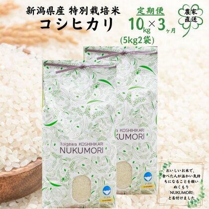 米【3ヶ月定期便】コシヒカリ10kg(5kg2袋)×3回 計30kg 令和5年産 新潟県産 特別栽培米 ”nukumori” 甘みあふれるこしひかり 農家直送 令和5年産 プロが認めた美味しいお米 百姓や伝六 美味しい 農家自慢 お米 白米 おにぎり お弁当