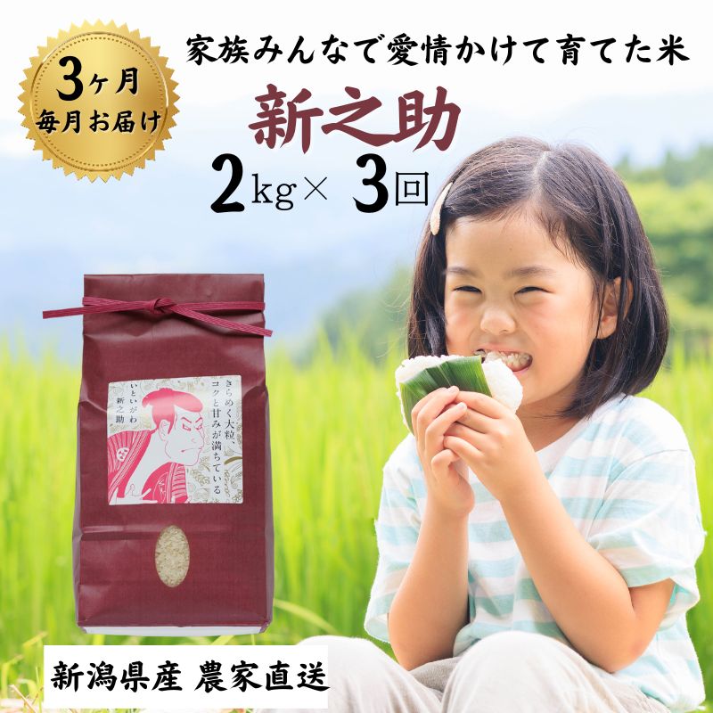 【ふるさと納税】【3ヶ月定期便】令和5年産新米 農家自慢の『新之助』2kg(1袋)×3回 計6kg 農家自慢の家族みんなで愛情かけて育てた米 新潟県糸魚川産 百姓や伝六 美味しい 農家自慢 甘い お米 白米 おにぎり お弁当 しんのすけ･･･