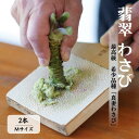 「真妻わさび」本わさび Mサイズ 2本セット 約160g SKフロンティア 糸魚川 生わさび ワサビ 新潟県 お正月 山葵 お刺身 薬味 そば お蕎麦 風味 お刺身 絶品 味わい ワサビならではの味 わさび好き