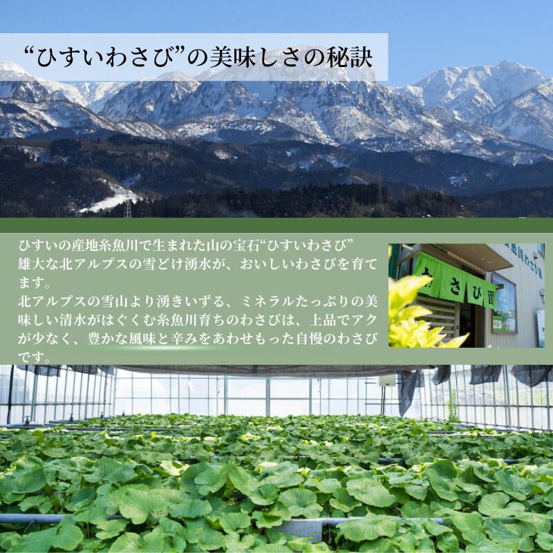 新潟県糸魚川市の画像3