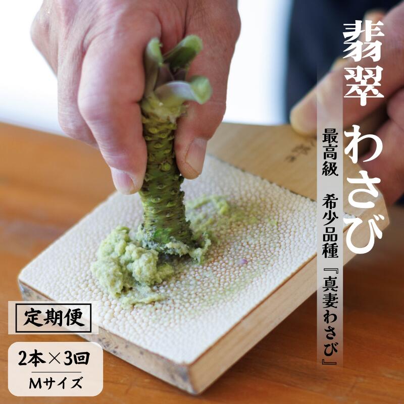 調味料(生わさび)人気ランク13位　口コミ数「0件」評価「0」「【ふるさと納税】【3回定期便】「真妻わさび」本わさび Mサイズ 2本セット約160g×3回 計480g SKフロンティア 糸魚川 生わさび ワサビ 新潟県 お正月 山葵 お刺身 薬味 そば お蕎麦 風味 お刺身 絶品 味わい ワサビならではの味 わさび好き」