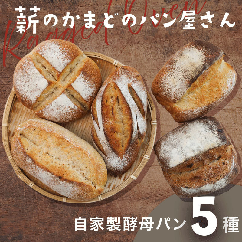 【ふるさと納税】パン 自家製酵母パン 5種セット(ベーシックプレーン/全粒粉プレーン/ライ麦プレーン/全粒粉イチジクとオレンジピール/ライ麦クルミとレーズン)全...