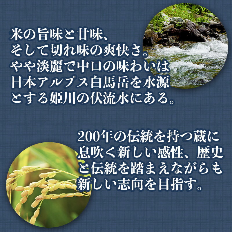 新潟県糸魚川市の画像3