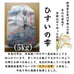 【ふるさと納税】【6ヶ月定期便】【令和5年産新米】新潟県産コシヒカリ『ひすいの雫』5kg×6ヶ月お届け(合計30kg) 新潟県産こしひかり5kg 早川の清流が育んだ美味しいお米 特別栽培米 こしひかり 農家直送 いといがわ 地元農家 お米の旨味 新潟県産コシヒカリ5kg･･･ 画像2