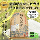 【ふるさと納税】【6ヶ月定期便】【令和5年産新米】新潟県産コシヒカリ『ひすいの雫』5kg×6ヶ月お届け(合計30kg) 新潟県産こしひかり5kg 早川の清流が育んだ美味しいお米 特別栽培米 こしひかり 農家直送 いといがわ 地元農家 お米の旨味 新潟県産コシヒカリ5kg･･･