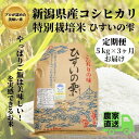 【ふるさと納税】【定期便】【令和5年産新米】新潟県産コシヒカリ『ひすいの雫』5kg×3ヶ月お届け(合計15kg) 新潟県産こしひかり5kg 早川の清流が育んだ美味しいお米 特別栽培米 こしひかり 農家直送 いといがわ 米作りのプロ 地元農家 農家直送 新潟県産コシヒカリ5kg･･･