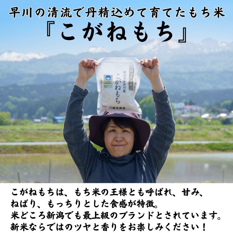 新潟県糸魚川市の画像2