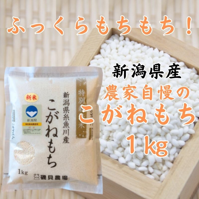 【ふるさと納税】もち米 新潟県産『こがねもち』1kg 令和5年産 ふっくらモチモチ！ もち米ならではの芳醇な香り 磯貝農場 お正月 餅 赤飯 おこわ 美味しい 糸魚川 新潟米 もち米1kg･･･