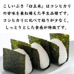 【ふるさと納税】米 白米 米30kg こしいぶき 30kg(5kg×6袋) 令和5年産 プロが認めたうまい米 糸魚川産こしいぶき『臼玉米』新潟米 農家自慢 農家直送 粘りが少なく、しっかりとした粒にさっぱりとした味が特徴 どんな料理にも合う米 お手頃価格 精米 おにぎり 弁当 米どころ･･･ 画像2