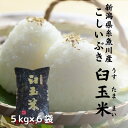 【ふるさと納税】令和4年度産 新潟産こしいぶき『臼玉米』 30kg 新潟 いといがわ 美味しいお米 新潟産こしいぶき コシヒカリの甘みを兼ね備えた早生品種です。しっかりとした食感が特徴です。･･･