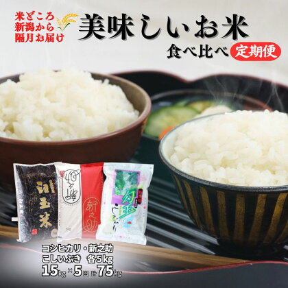 米 食べ比べセット【定期便】新之助・コシヒカリ・こしいぶき 各5kg 計15kg×5回 隔月お届け 食べ比べ 全75kg 白米 令和5年産 木島米穀店 こしひかり しんのすけ こしいぶき 新潟県 糸魚川市 5か月 5ヵ月 5ヶ月 おにぎり お弁当 おすすめ 人気 美味しい