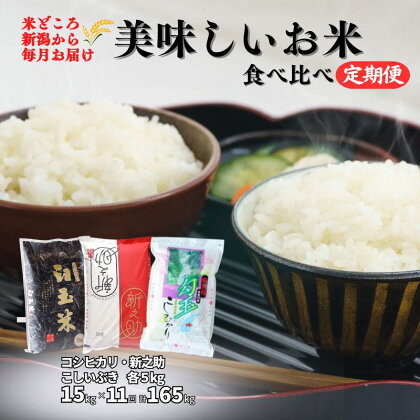 米 食べ比べセット【定期便】新之助・コシヒカリ・こしいぶき 各5kg 計15kg×11回 毎月お届け 全165kg 白米 令和5年産 木島米穀店 こしひかり しんのすけ こしいぶき 新潟県 糸魚川市 11か月 11ヵ月 11ヶ月 おにぎり お弁当 おすすめ 人気 美味しい