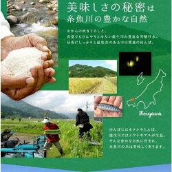 【ふるさと納税】米 定期便 5kg 12ヶ月 新潟県産コシヒカリ『能生米』5kg【12か月連続お届け】 令和4年 白米 こしひかり プロが認めたうまい米 糸魚川産 農家直送 あぐ里能生･･･ 画像2