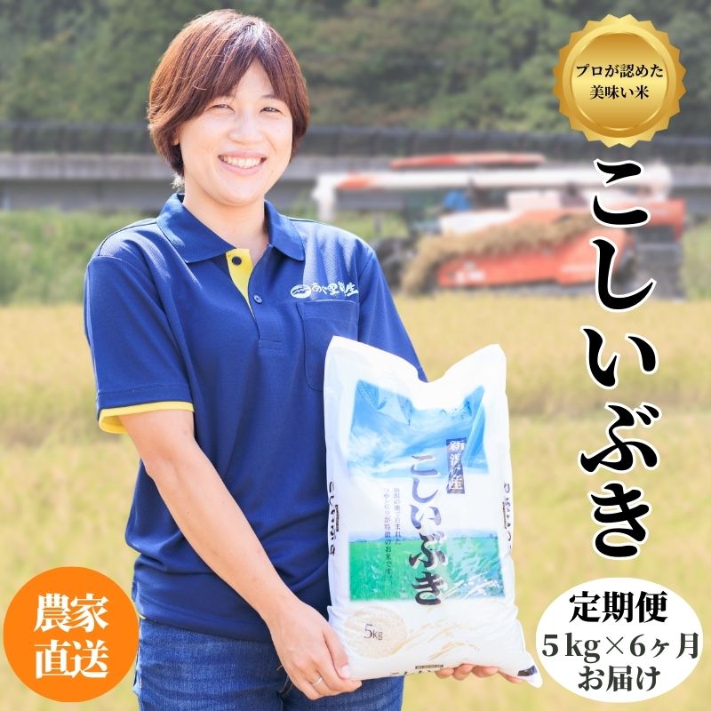 【ふるさと納税】米 白米 米5kg 【定期便】新潟県産コシイブキ 5kg×6回 毎月お届け 合計30kg 令和5年産 プロが認めたうまい米 糸魚川産『こしいぶき』新潟米 農家自慢 精米したてを農家直送 どんな料理にも合ううまい米 お手頃価格 おにぎり 弁当 6ヶ月定期便 あぐ里能生