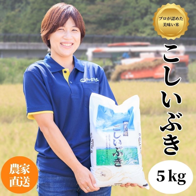【ふるさと納税】米 白米 米5kg 新潟県産こしいぶき 5k