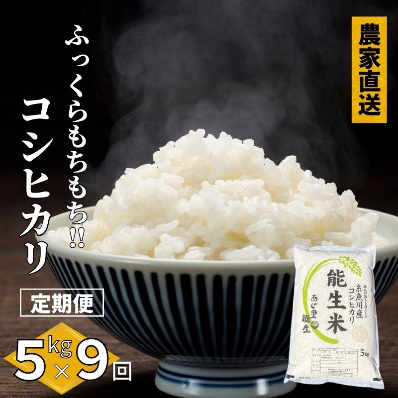 【ふるさと納税】【9ヶ月定期便】【令和5年産新米】 新潟県産コシヒカリ『能生米』5kg×9回 (9か月連続お届け) 計45kg プロが認めたうまい米 糸魚川産 農家直送 コシヒカリ 新潟 あぐ里能生･･･