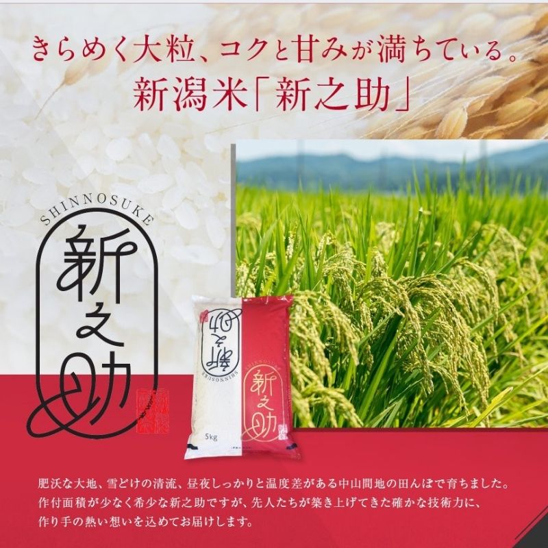 きらめく大粒、コクと甘みが満ちている。いつもの食卓をワンランク上に！　【ふるさと納税】 令和7年産 新米予約 『新之助』 5kg 新潟県糸魚川産 10月以降順次発送予定 農家直送 2025年 しんのすけ あぐ里能生 お米 食品 人気 おすすめ ギフト 新潟県の新しいブランド米 産地直送 5キロ 先行予約 精米 白米 おにぎり 弁当 農家自慢 米 こめ