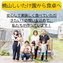 【ふるさと納税】【夏季限定】『生きくらげ』500g肉厚ぷりっぷり♪ 焼山しいたけ園 国産キクラゲ 新潟県 糸魚川 完全無農薬 画像1