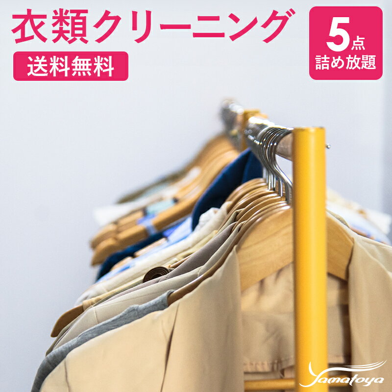 13位! 口コミ数「0件」評価「0」衣類の宅配クリーニング 5点 まで 詰め放題 保管なし クリーニング ハンガー仕上げ 送料無料 ダウン ワンピース シミ抜き無料 安い 洗濯･･･ 