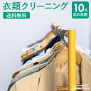 衣類の宅配クリーニング 10点 まで 詰め放題 保管なし クリーニング ハンガー仕上げ 送料無料 ダウン ワンピース シミ抜き無料 安い 洗濯 冬物 安心 毛玉取り 撥水加工 防虫 抗菌 除菌 引っ越し おすすめ 衣類 お得 早い ヤマトヤクリーニング 糸魚川