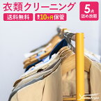 【ふるさと納税】衣類の宅配クリーニング 5点まで 詰め放題 保管付き ハンガー仕上げ 保管付き 送料無料 ダウン ワンピース シミ抜き無料 保管 安い 冬物 預かり 安心 保管あり 撥水加工 防虫 抗菌 除菌 引っ越し おすすめ ヤマトヤクリーニング 糸魚川