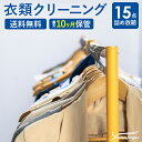 衣類の宅配クリーニング 15点まで 詰め放題 保管付き ハンガー仕上げ 保管付き 送料無料 ダウン ワンピース シミ抜き無料 保管 安い 冬物 預かり 安心 保管あり 撥水加工 防虫 抗菌 除菌 引っ越し おすすめ ヤマトヤクリーニング 糸魚川