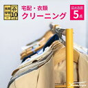 【ふるさと納税】衣類の宅配クリーニング 5点まで 詰め放題 保管付き ハンガー仕上げ 保管付き 送料無料 ダウン ワンピース シミ抜き無料 保管 安い 冬物 預...