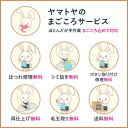 新潟県糸魚川市の画像3