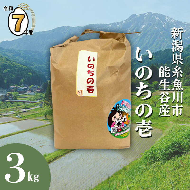 【ふるさと納税】選べ