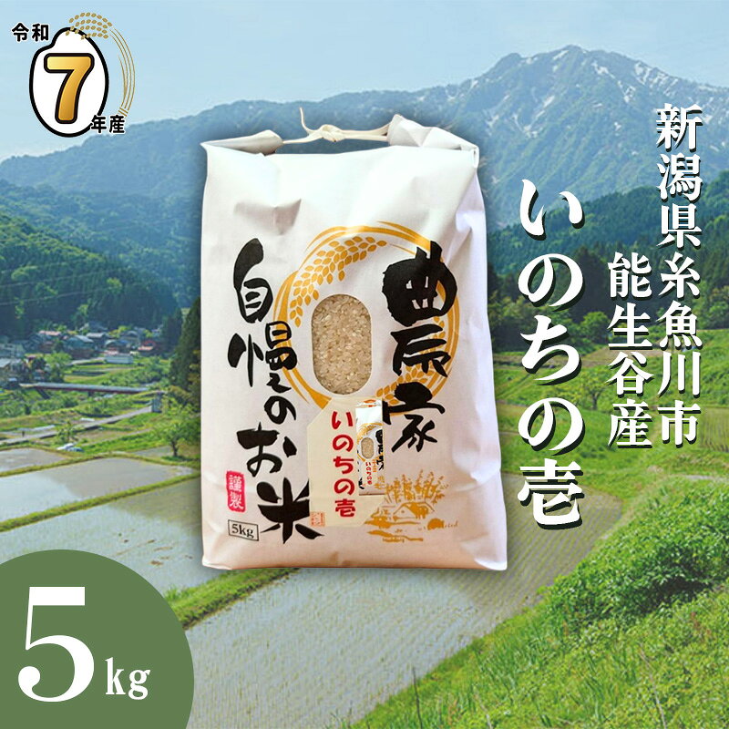 【ふるさと納税】選べ