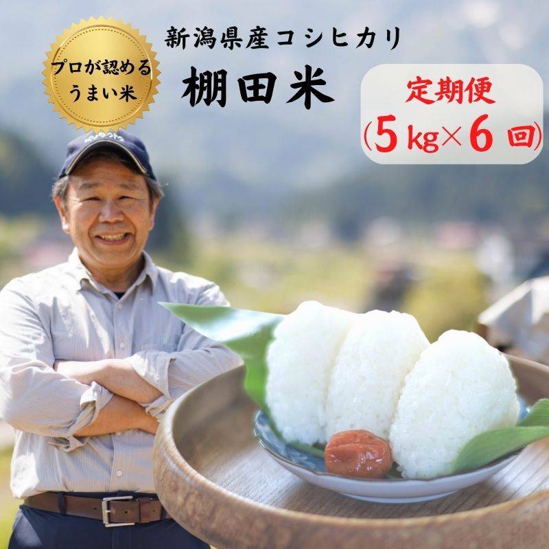 【ふるさと納税】新潟県産コシヒカリ【定期便】5kg(1袋)×6回 計30kg 農家直送 プロが認める 棚田米 糸魚川 能生谷産こしひかり