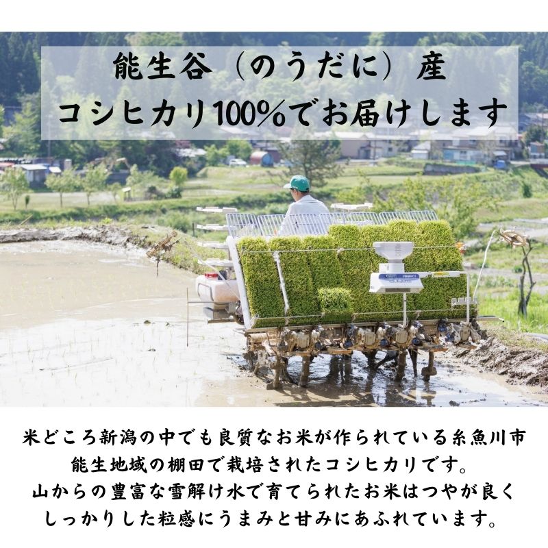 【ふるさと納税】米 コシヒカリ 6kg (3kg×2袋) 新潟県産 農家直送 令和5年産 プロが認める 棚田米 糸魚川 能生谷産 こしひかり 農業生産法人 JATs有限会社 美味しい 農家自慢 お米 白米 おにぎり お弁当