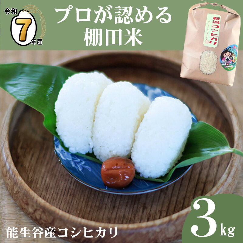 米 新米[令和7年産 新米]選べる発送月 令和7年産 新潟県能生谷産コシヒカリ 3kg プロも認める棚田米 農家直送 2025年産 JATs有限会社 美味しい 農家自慢 お米 白米 おにぎり お弁当 2025年