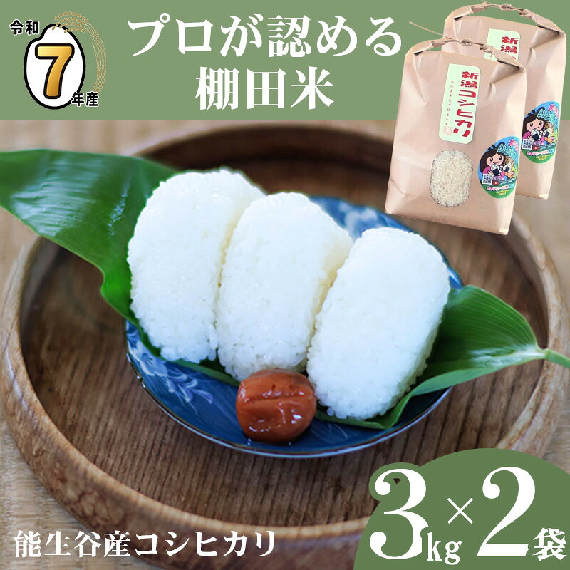 【ふるさと納税】米 