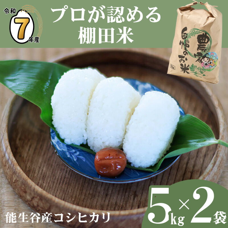 【ふるさと納税】米 