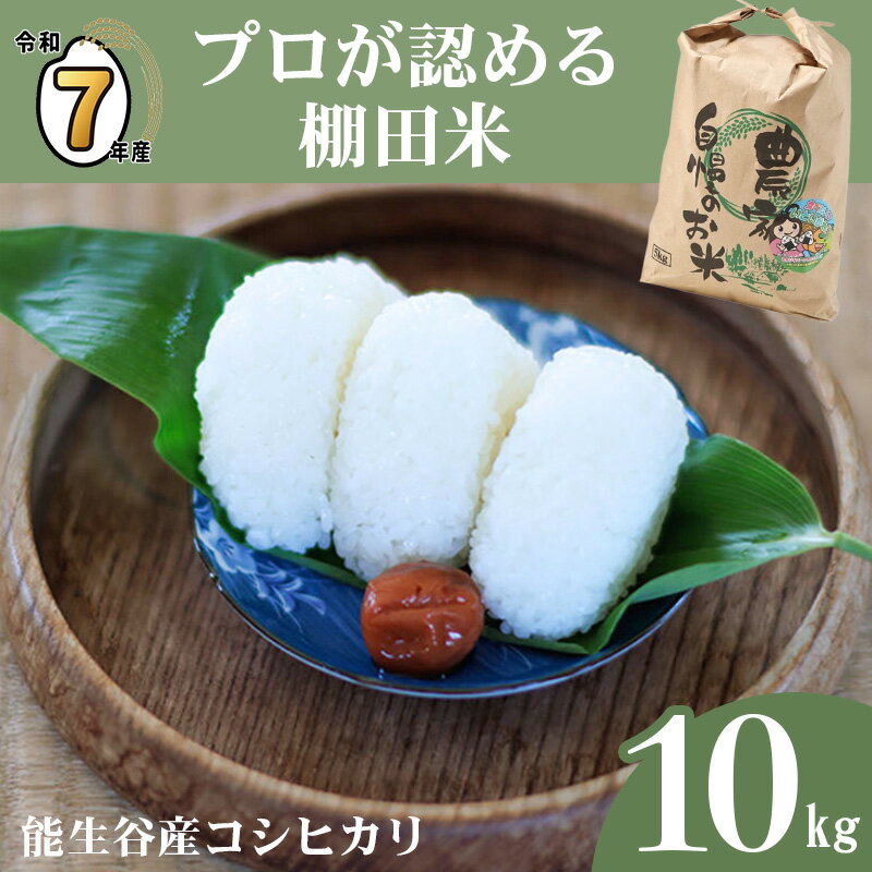 【ふるさと納税】米 