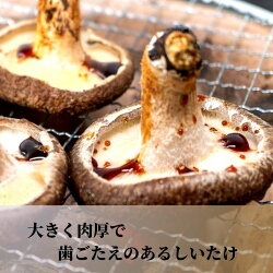 【ふるさと納税】 生しいたけ 肉厚500g （約12～15個）ジャンボ 手のひらサイズ 糸魚川 焼山しいたけ園 農園直送 新鮮 おすすめ 新潟県 お取り寄せ グルメ 国産 椎茸･･･ 画像2