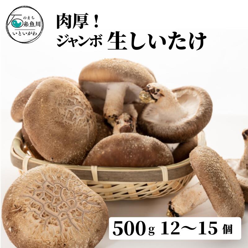 【ふるさと納税】 生しいたけ 肉厚500g （約12～15個）ジャンボ 手のひらサイズ 糸魚川 焼山しいたけ園 農園直送 新鮮 おすすめ 新潟県 お取り寄せ グルメ 国産 椎茸･･･