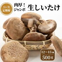 【ふるさと納税】【定期便】 生しいたけ 500g(肉厚椎茸12~15個)×3ヶ月お届け 計1,5kg 焼山しいたけ園の手のひらシイタケ 新鮮 ジャンボ 農園直送 おすすめ 新潟県 お取り寄せ グルメ 国産 椎茸 しいたけ 3月末までの限定品 大きめサイズ･･･