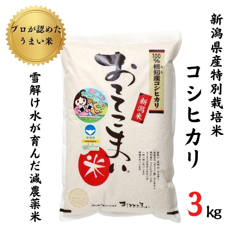 米 コシヒカリ3kg×1袋 新潟県産 特別栽培米 「おててこまい」100%根知産 減農薬 専門家お墨付き 令和5年産 産地直送 糸魚川 新潟県産コシヒカリ3kg 小田島建設 美味しい 農家自慢 お米 白米 おにぎり お弁当