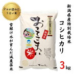 【ふるさと納税】米 コシヒカリ3kg×1袋 新潟県産 特別栽培米 「おててこまい」100%根知産 減農薬 専門家お墨付き 令和5年産 産地直送 糸魚川 新潟県産コシヒカリ3kg 小田島建設 美味しい 農家自慢 お米 白米 おにぎり お弁当