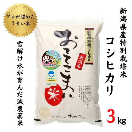 米 コシヒカリ3kg×1袋 新潟県産 特別栽培米 「おててこまい」100%根知産 減農薬 専門家お墨付き 令和5年産 産地直送 糸魚川 新潟県産コシヒカリ3kg 小田島建設 美味しい 農家自慢 お米 白米 おにぎり お弁当