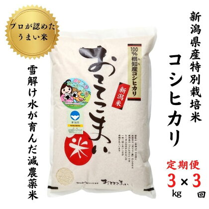 米 コシヒカリ【定期便】3kg(1袋)×3回毎月 計9kg 新潟県産 特別栽培米 「おててこまい」100%根知産 専門家お墨付き 令和5年産 産地直送 糸魚川 新潟県産コシヒカリ3kg 小田島建設 美味しい 農家自慢 お米 白米 おにぎり お弁当