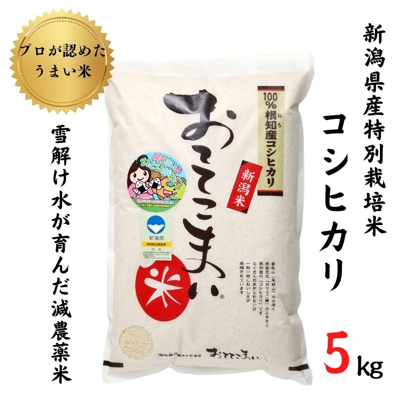 【ふるさと納税】米 コシヒカリ 5kg×1袋 新潟県産 特別