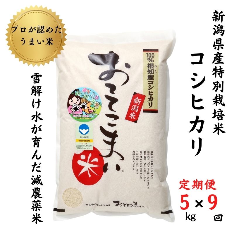 米 コシヒカリ【定期便】5kg(1袋)×9回毎月 計45kg 新潟県産 特別栽培米 「おててこまい」100%根知産 専門家お墨付き 令和5年産 産地直送 糸魚川 新潟県産コシヒカリ5kg 小田島建設 美味しい 農家自慢 お米 白米 おにぎり お弁当