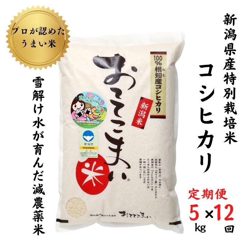 【ふるさと納税】新潟県産 特別栽培米コシヒカリ【定期便】5kg(1袋)×12回毎月 計60kg「おててこまい」100%根知産 専門家お墨付き 令和4年産 産地直送 糸魚川･･･